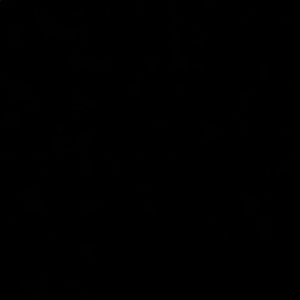 Meet your Posher, Kaylee